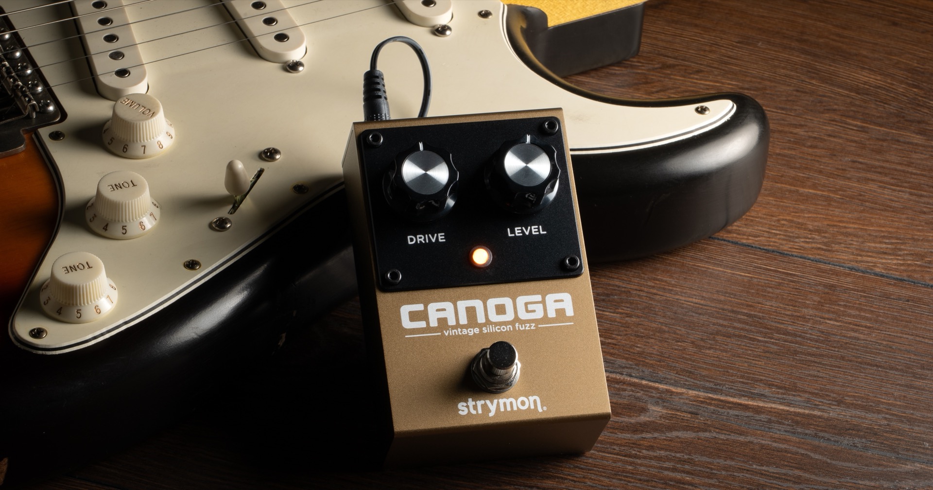Strymon Canoga